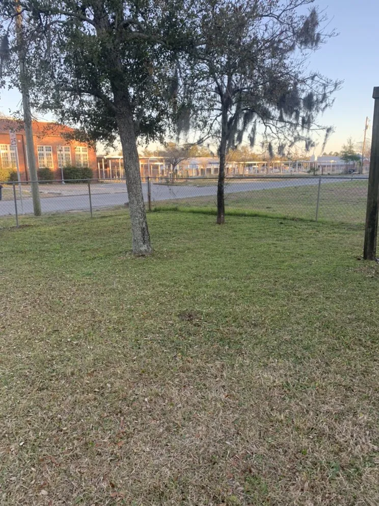 Professional landscape installation in Youngstown, FL by Straight Line Lawn Care