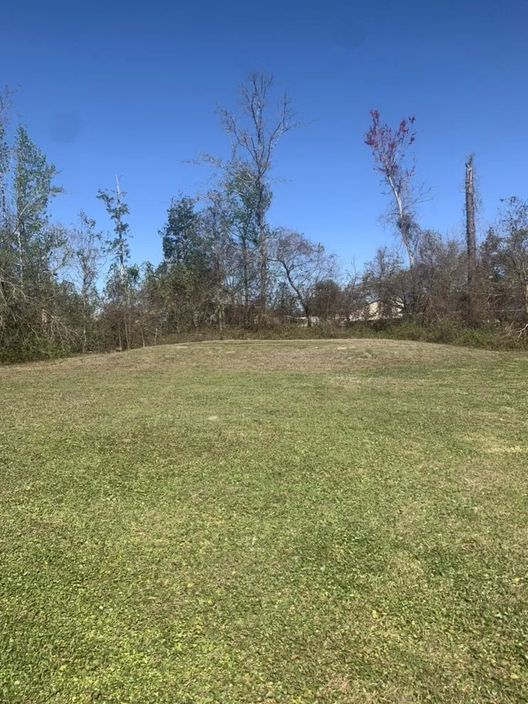 Expert landscape design for homes in Youngstown, FL by Straight Line Lawn Care