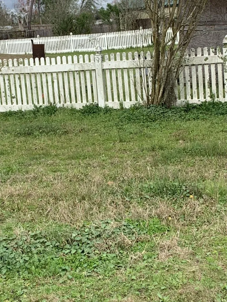 Top-rated yard maintenance experts serving Youngstown, FL - Straight Line Lawn Care