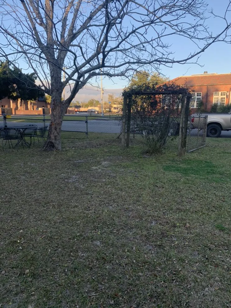 Reliable landscape installation for beautiful yards in Youngstown, FL by Straight Line Lawn Care