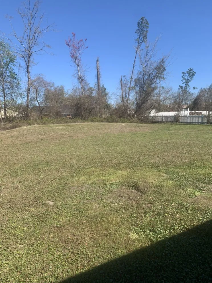 Local residential landscaping near you in Youngstown, FL by Straight Line Lawn Care