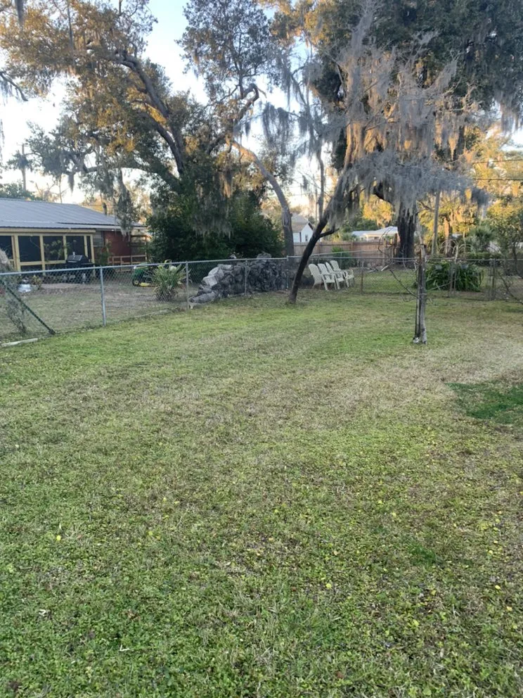 Professional yard maintenance experts serving Youngstown, FL - Straight Line Lawn Care