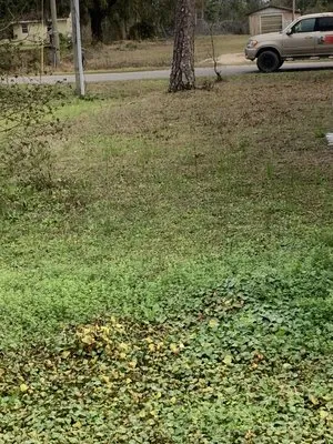 Straight Line Lawn Care