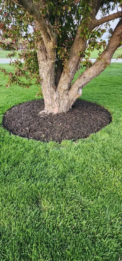 Custom landscape design in Keokuk, IA by Straight Line Lawncare and Snow Removal