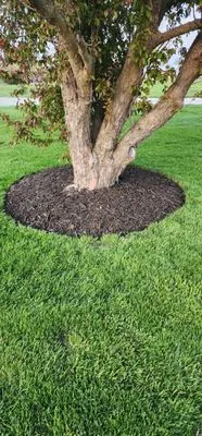 Straight Line Lawncare and Snow Removal