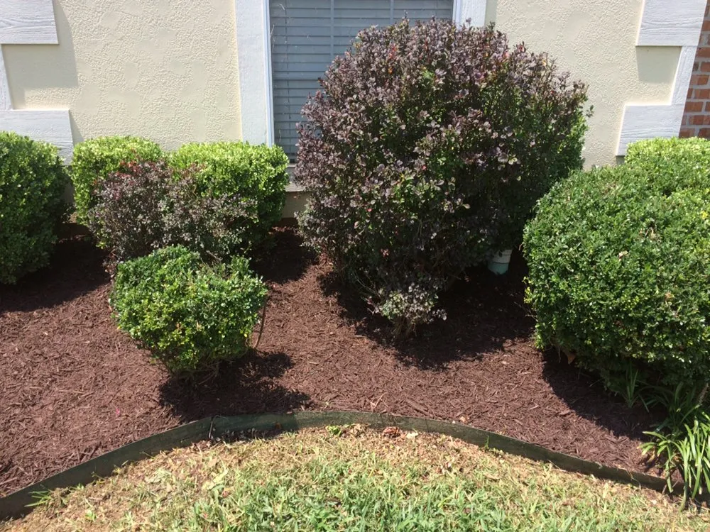 Trusted landscape design experts serving Jefferson, TX - Straight Paths Lawn Care