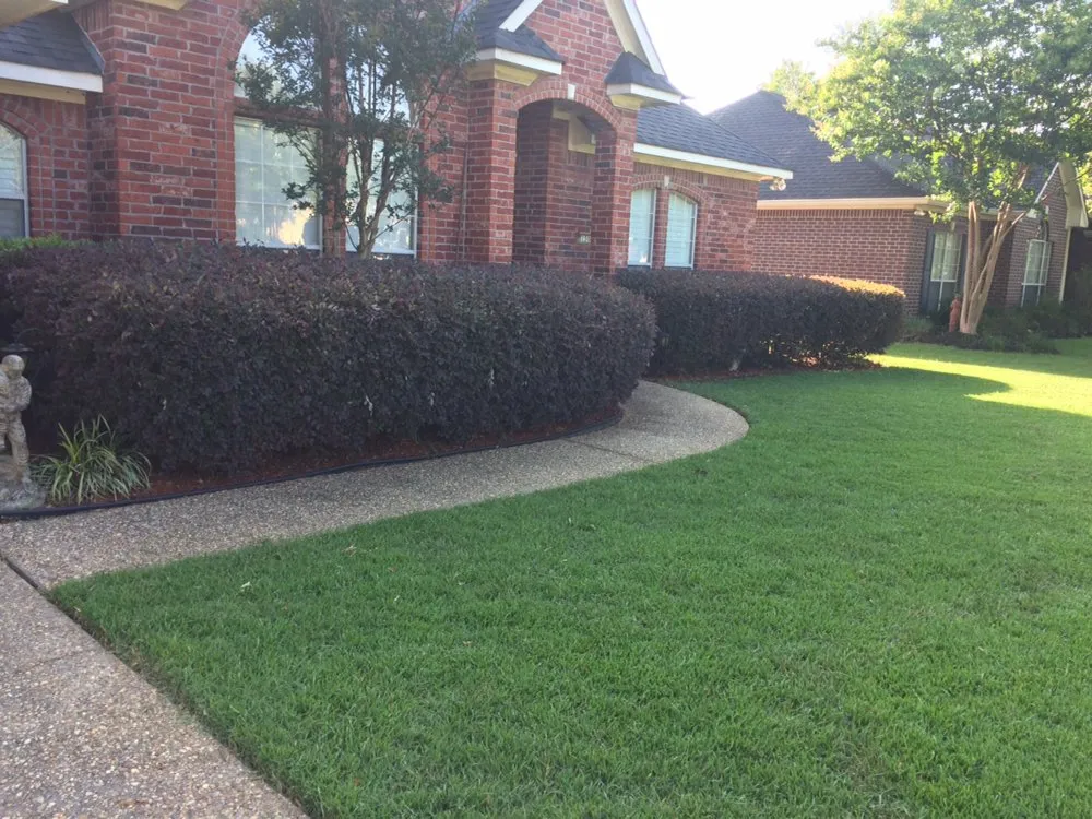 Affordable landscape design in Jefferson, TX by Straight Paths Lawn Care
