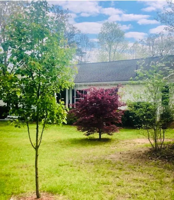 Top-rated lawn care service experts serving Dillwyn, VA - Straight Striped Lawn Care & Landscaping