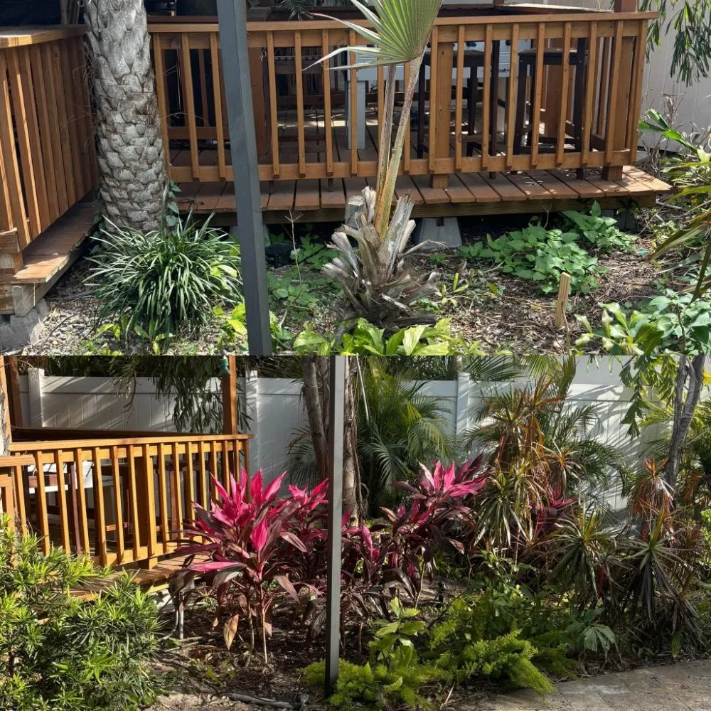 Reliable landscape design experts serving St. Petersburg, FL - Straight to the Curb