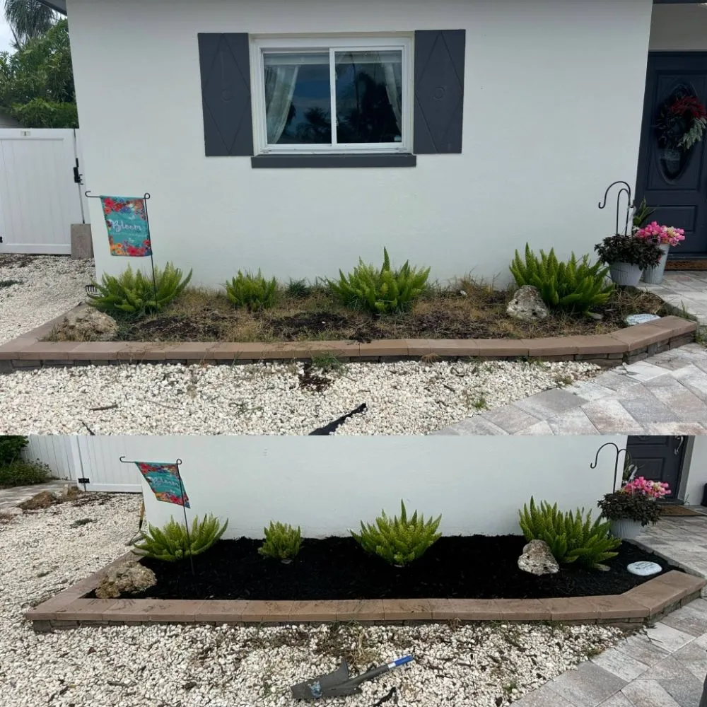 Reliable residential landscaping in St. Petersburg, FL by Straight to the Curb