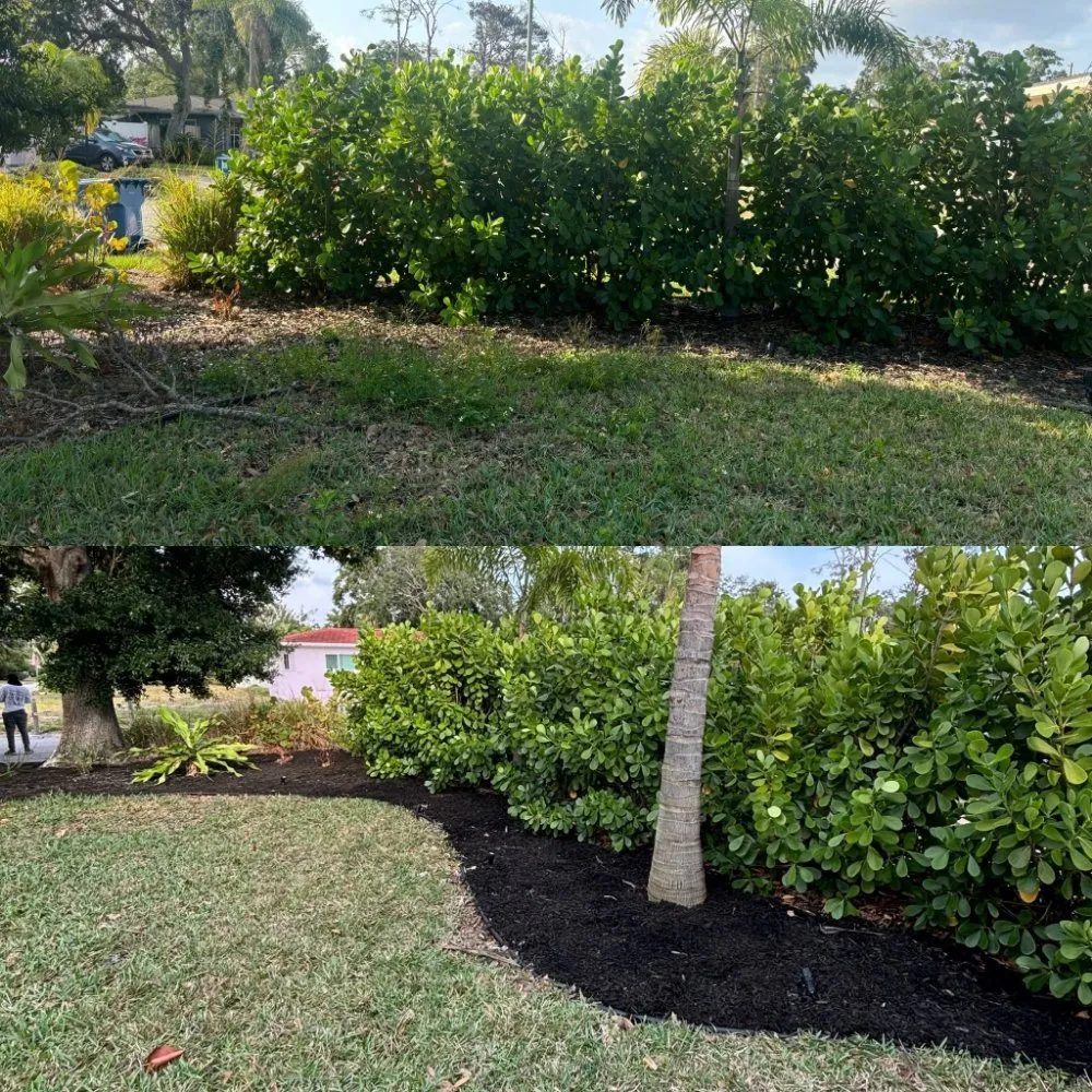 Reliable yard cleanup service in St. Petersburg, FL by Straight to the Curb