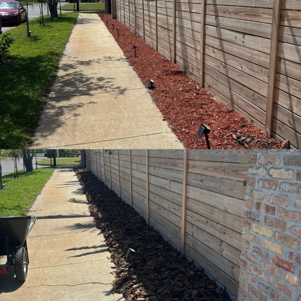 Custom yard maintenance in St. Petersburg, FL by Straight to the Curb