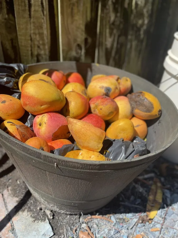 Custom landscape installation in St. Petersburg, FL by Straight to the Curb