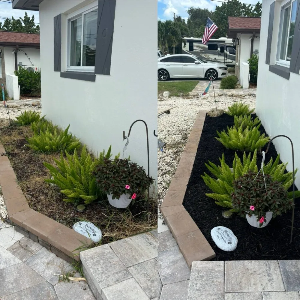 Reliable yard maintenance experts serving St. Petersburg, FL - Straight to the Curb