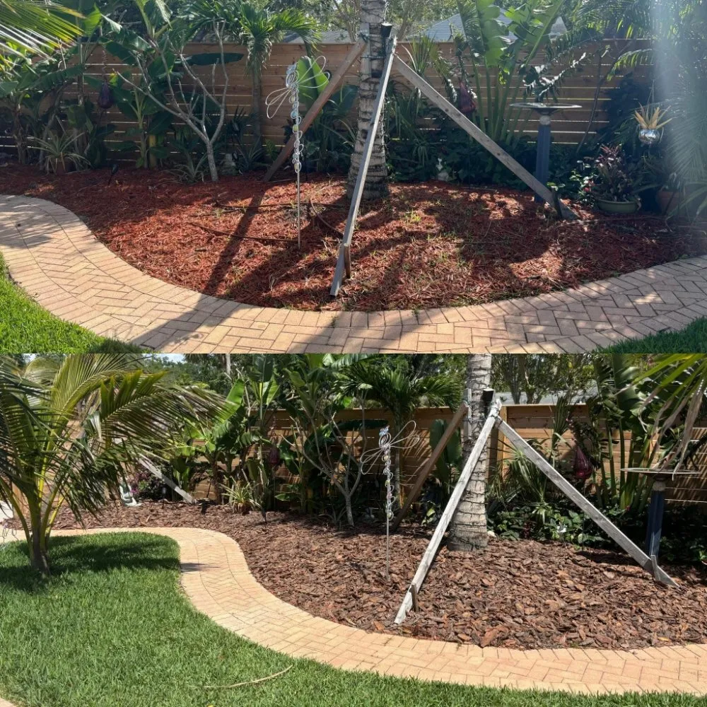 Local lawn care service in St. Petersburg, FL by Straight to the Curb