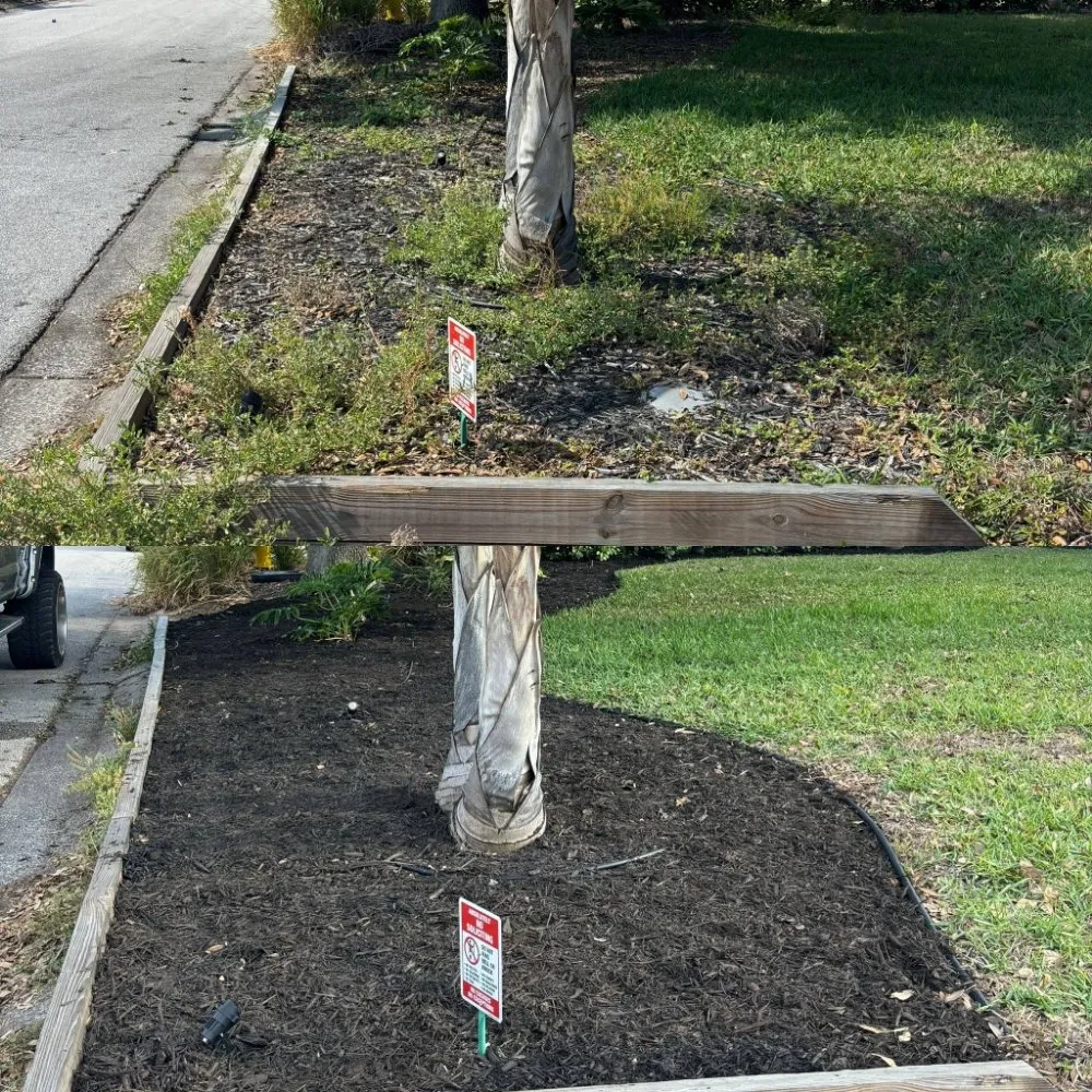 Local outdoor landscaping for residential properties across St. Petersburg, FL - Straight to the Curb