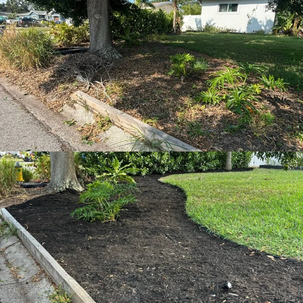 Reliable residential landscaping in St. Petersburg, FL - Straight to the Curb