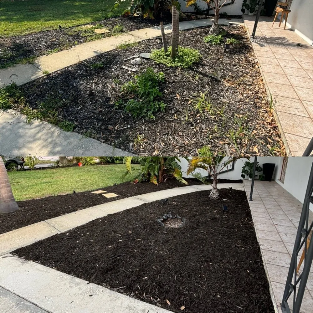 Affordable yard maintenance in St. Petersburg, FL - Straight to the Curb