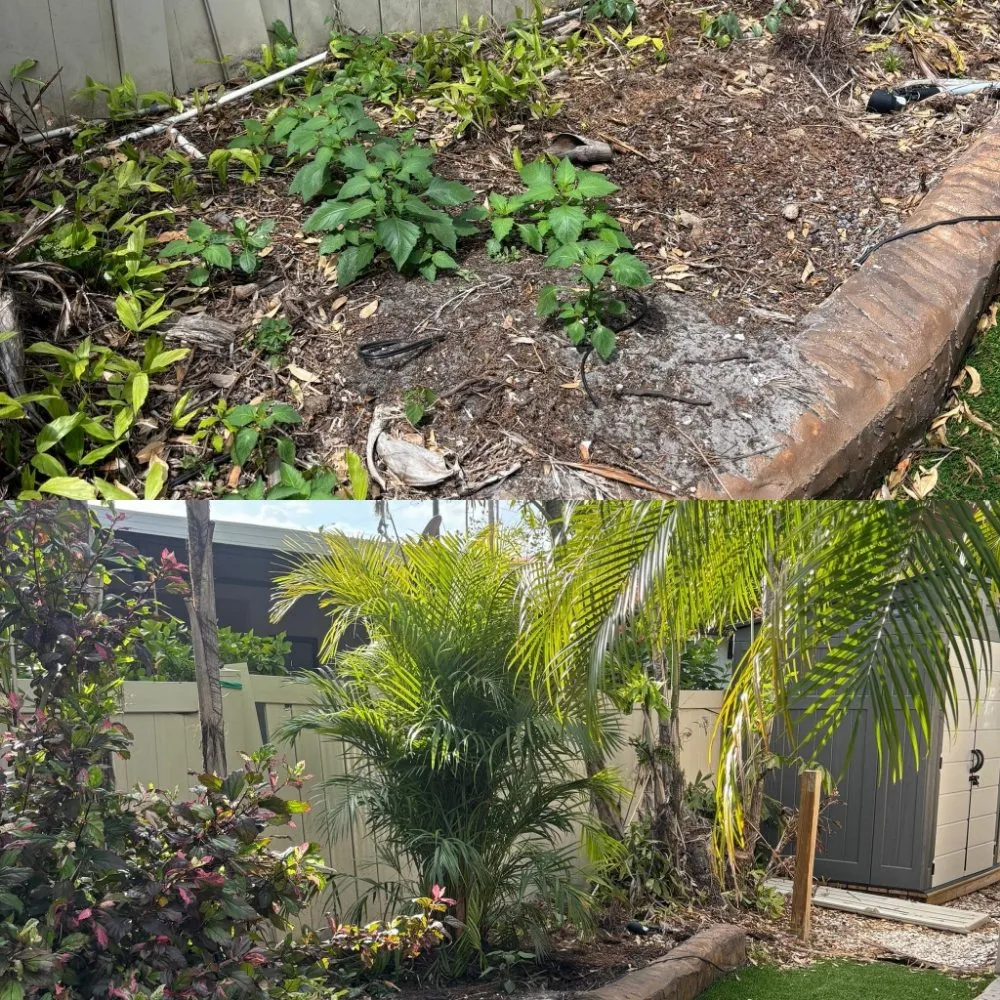 Top-rated lawn mowing service for homes in St. Petersburg, FL by Straight to the Curb