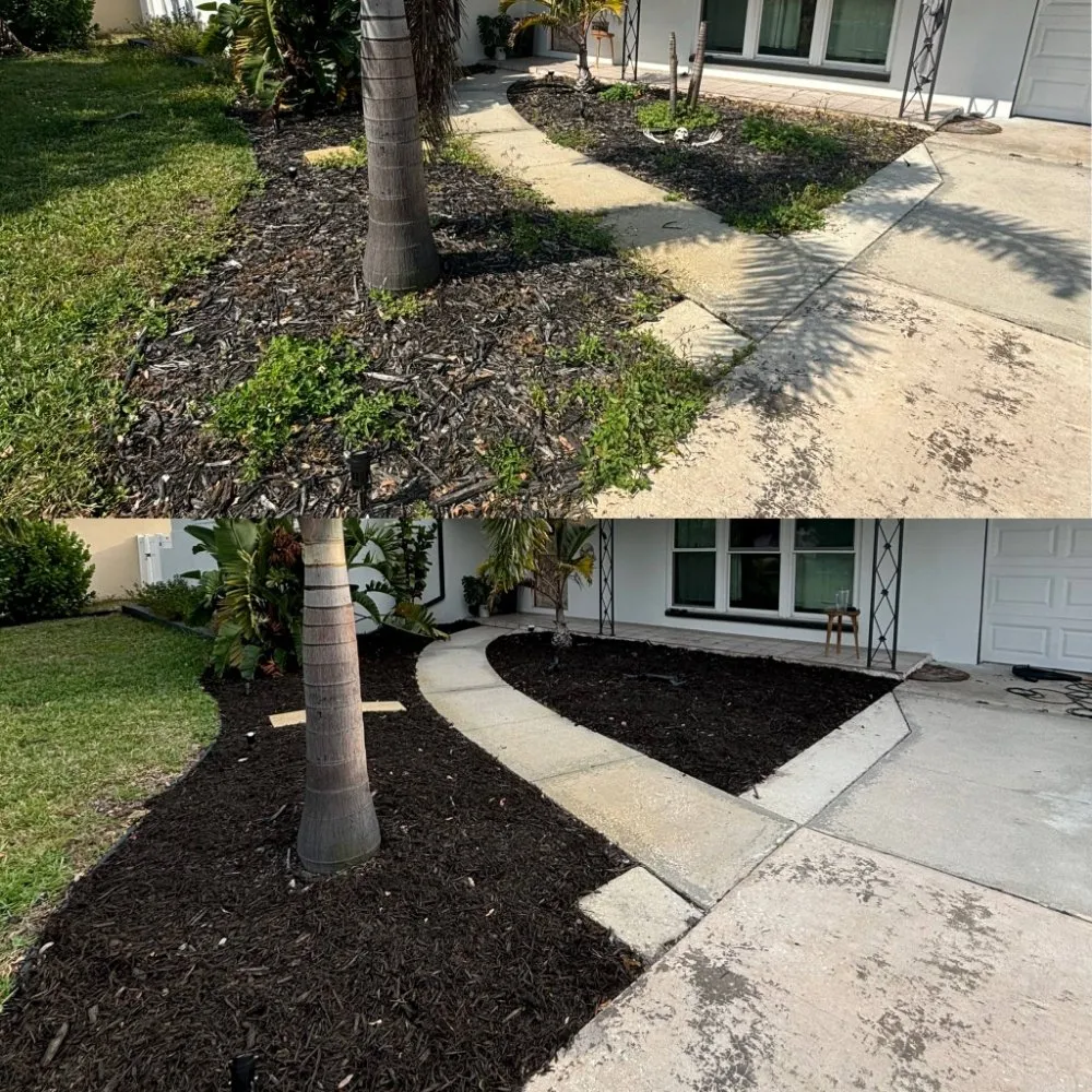 Top-rated outdoor landscaping in St. Petersburg, FL by Straight to the Curb