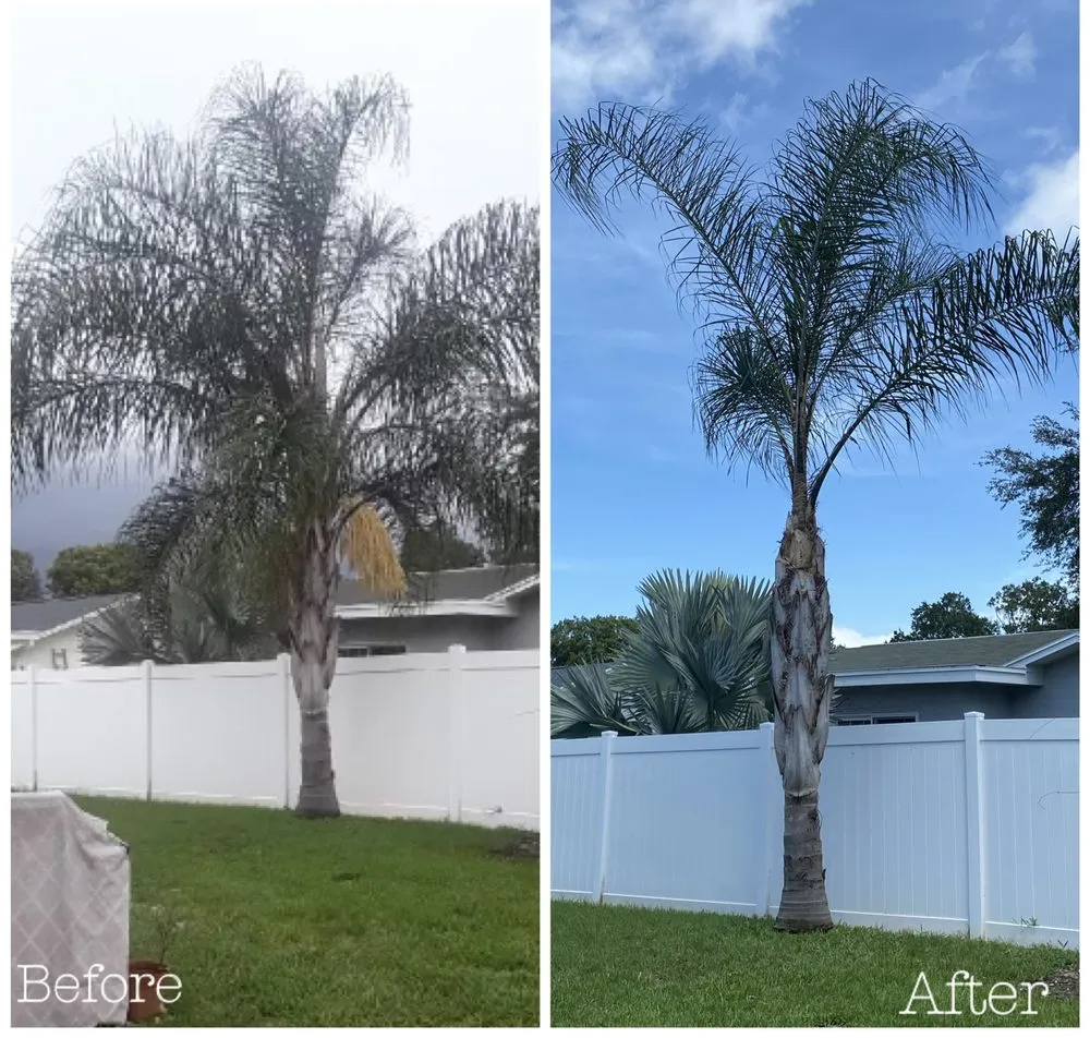 Custom lawn mowing service in Tampa, FL by Straight To The Point Outdoor Solutions