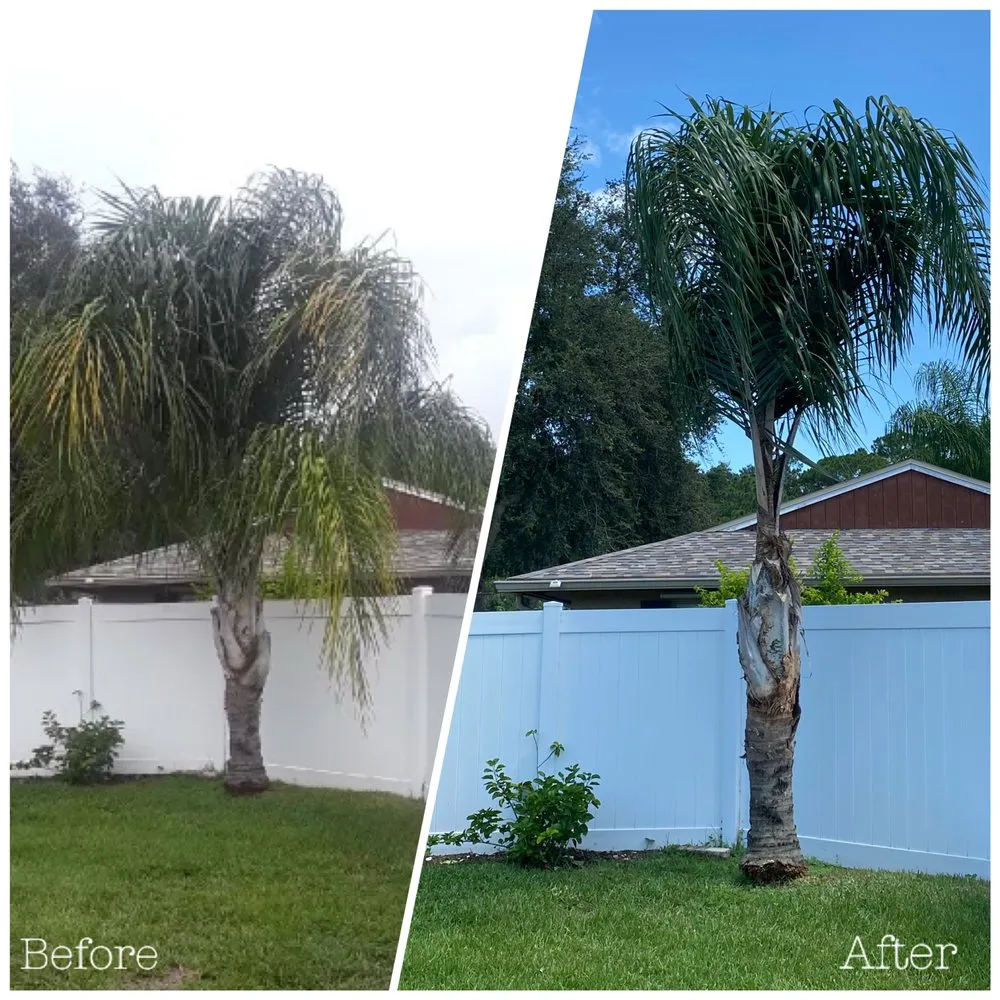 Trusted yard maintenance in Tampa, FL - Straight To The Point Outdoor Solutions