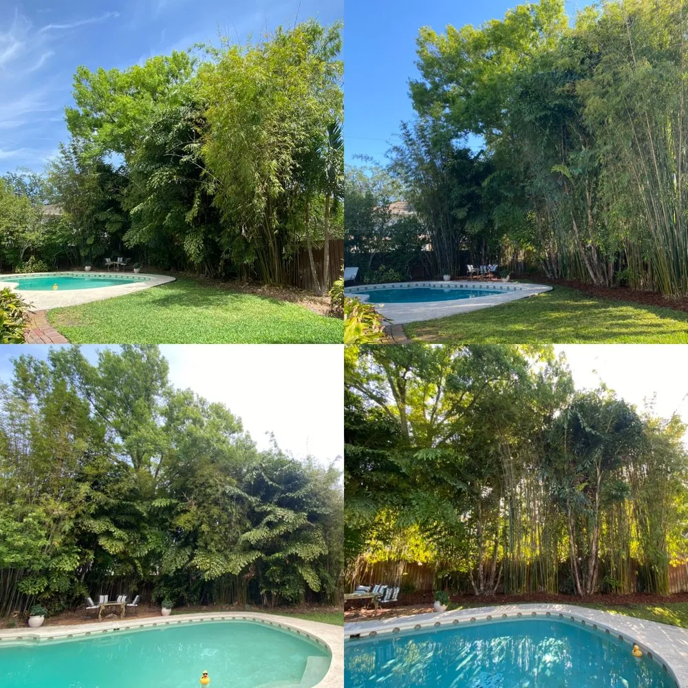 Reliable garden landscaping in Tampa, FL - Straight To The Point Outdoor Solutions