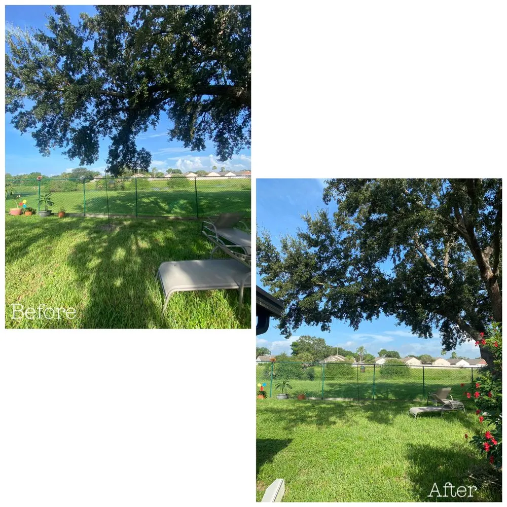 Professional lawn care service in Tampa, FL - Straight To The Point Outdoor Solutions