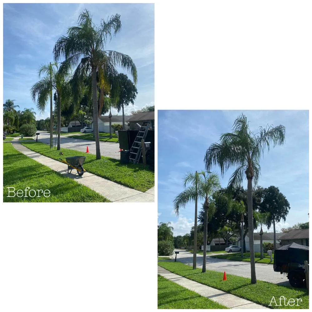 Custom lawn mowing service for year-round maintenance in Tampa, FL by Straight To The Point Outdoor Solutions