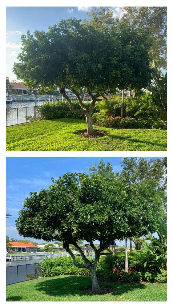 Expert landscaping services experts serving Tampa, FL - Straight To The Point Outdoor Solutions