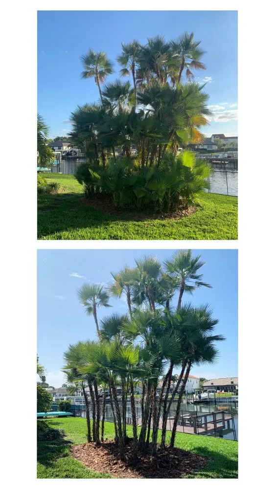 Expert residential landscaping for homes across Tampa, FL - Straight To The Point Outdoor Solutions