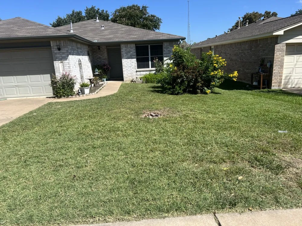 Top-rated landscape design in Cedar Park, TX by StraightCutz Lawncare