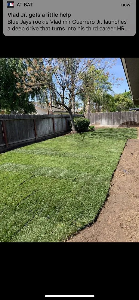 Affordable garden landscaping experts serving Fresno, CA - Straightedge Landscaping
