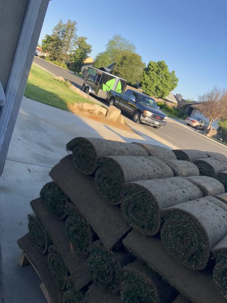 Top-rated landscape design for beautiful yards across Fresno, CA - Straightedge Landscaping