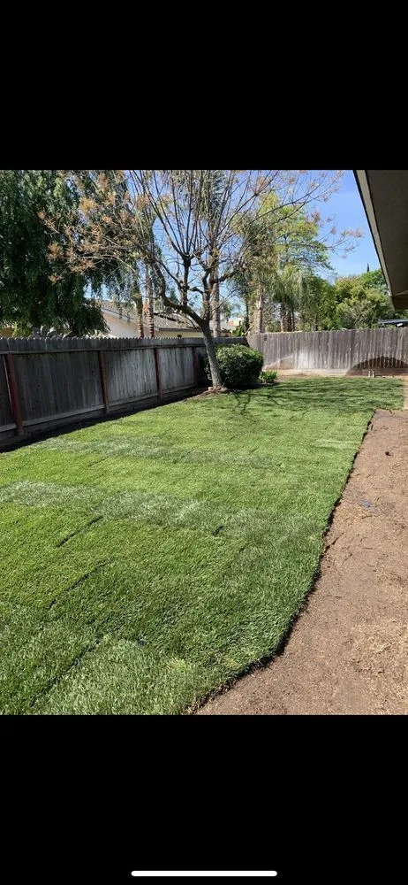 Professional residential landscaping for beautiful yards in Fresno, CA by Straightedge Landscaping
