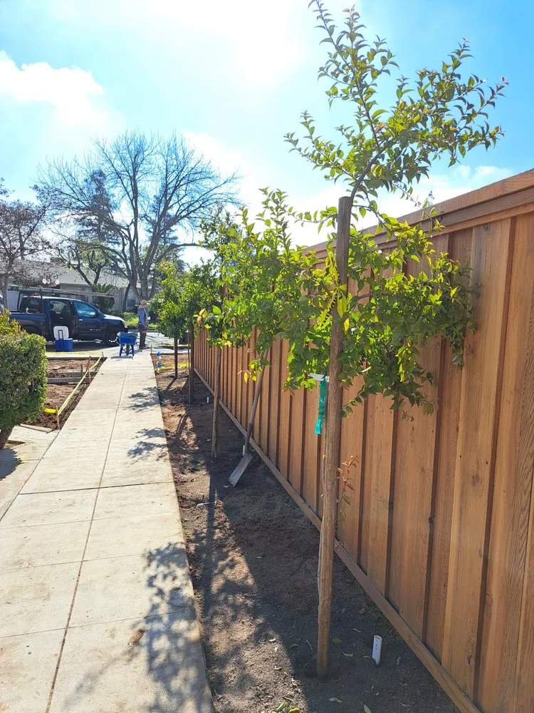 Local landscape installation in Fresno, CA by Straightedge Landscaping