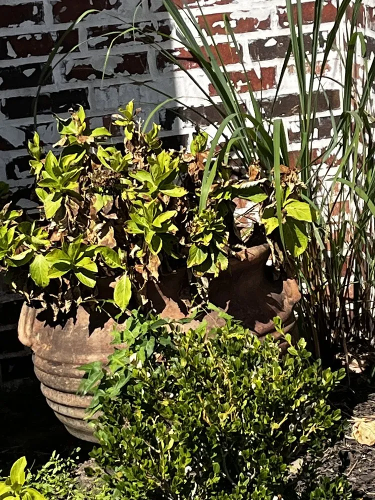 Professional yard cleanup service experts serving Greenwood, LA - Straightening Up