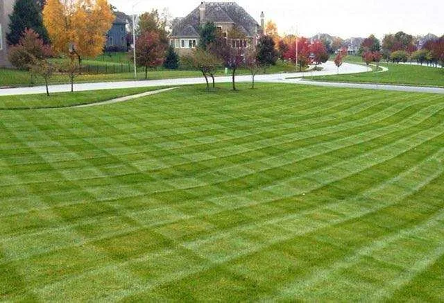 Professional lawn care service experts serving Omaha, NE - Straightline