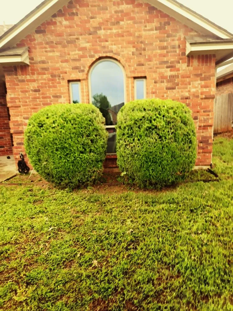 Trusted landscape installation in Yukon, OK by Straightlines