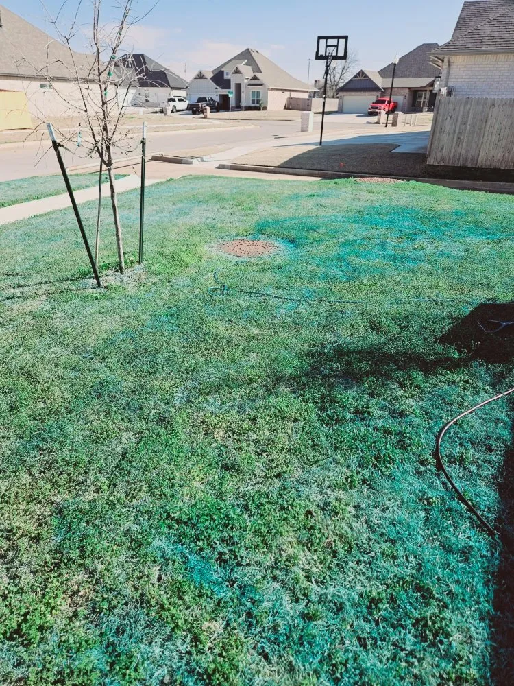 Local landscape design in Yukon, OK by Straightlines