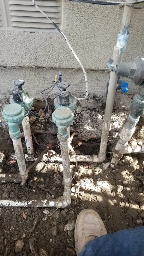 Top-rated residential landscaping in Laguna Niguel, CA - StraightUp Lawn care