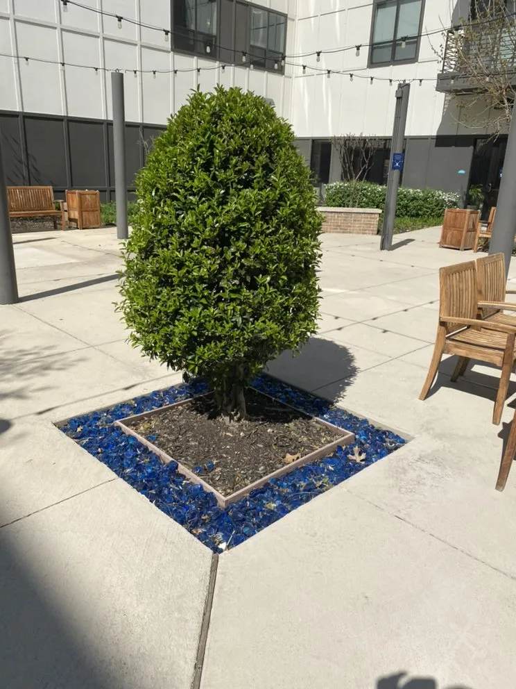 Professional residential landscaping experts serving Laguna Niguel, CA - StraightUp Lawn care