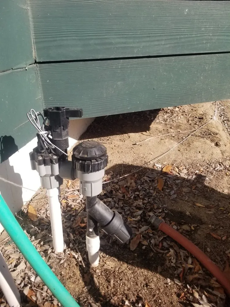 Expert yard cleanup service in Laguna Niguel, CA by StraightUp Lawn care