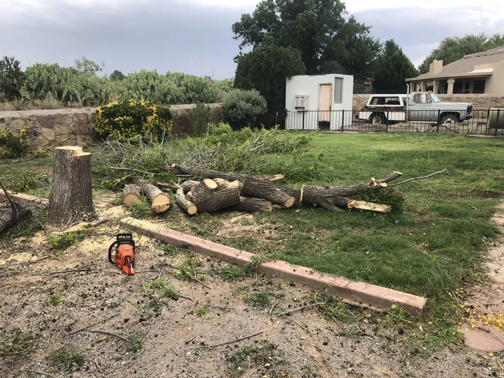 Expert garden landscaping experts serving Las Cruces, NM - Strain's Greenery