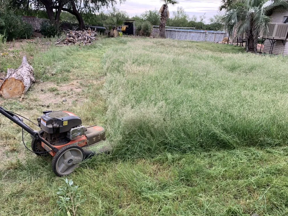 Reliable yard cleanup service in Las Cruces, NM by Strain's Greenery