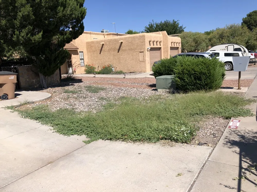 Custom yard cleanup service in Las Cruces, NM by Strain's Greenery