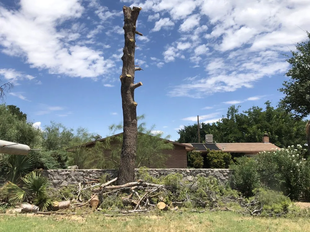 Professional residential landscaping for residential properties across Las Cruces, NM - Strain's Greenery