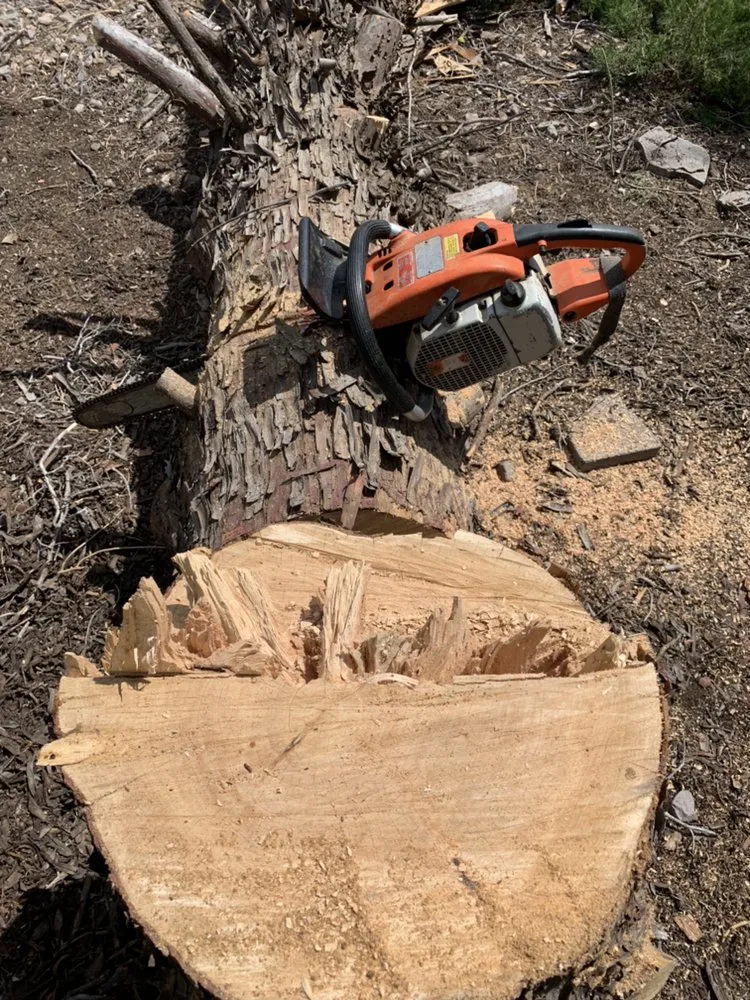 Professional yard maintenance in Las Cruces, NM by Strain's Greenery