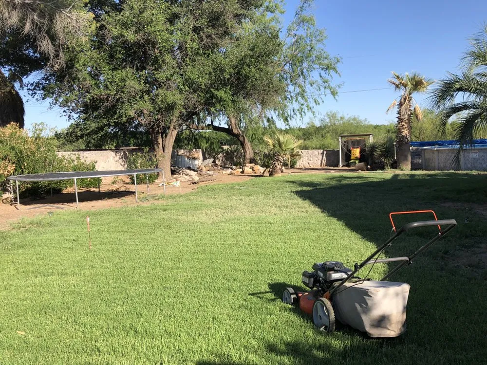 Reliable garden landscaping for year-round maintenance across Las Cruces, NM - Strain's Greenery