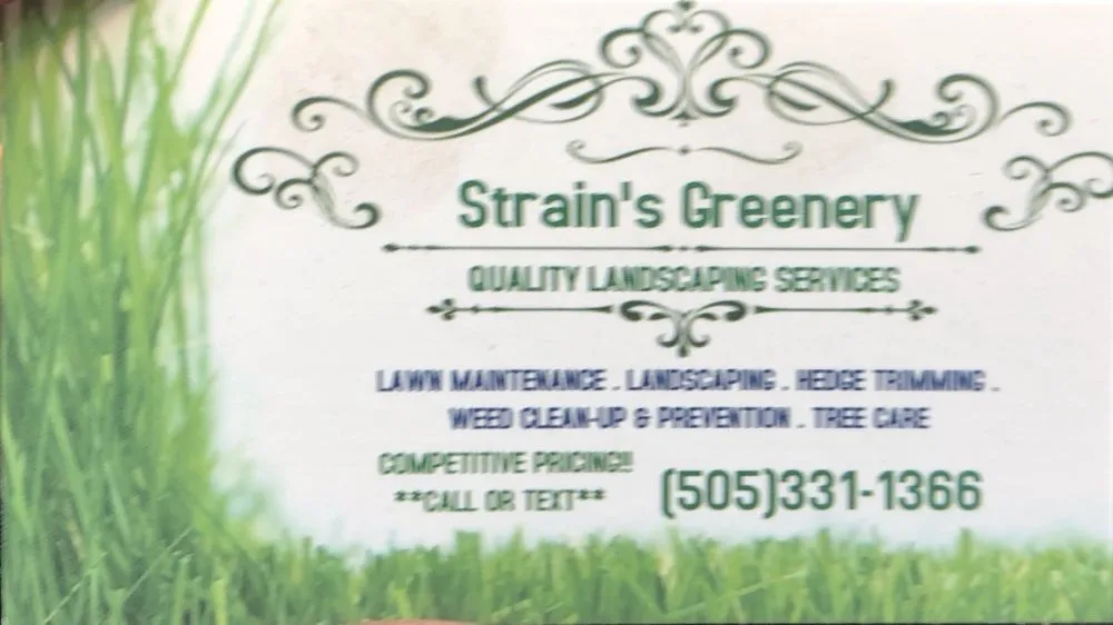 Custom landscape installation in Las Cruces, NM - Strain's Greenery